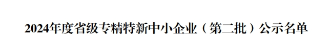 省级殊荣！江苏迅镭荣获2024年度“江苏省专精特新中小企业”称号！(图4)